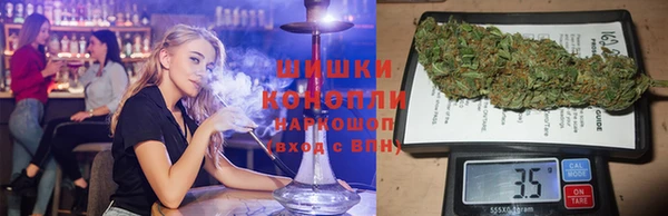 гидра Ельня