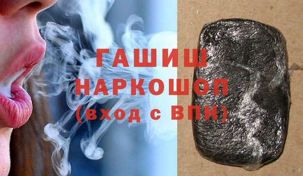 гидра Ельня