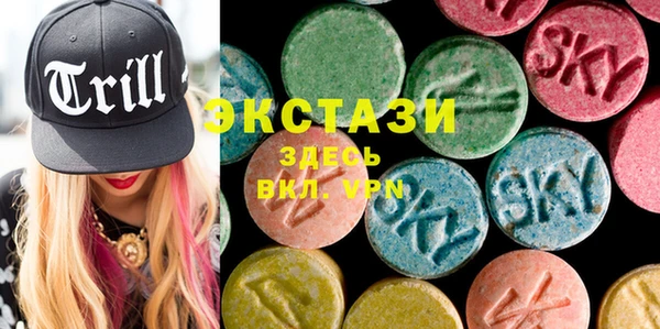 гидра Ельня