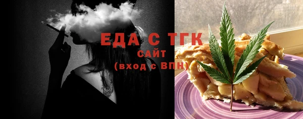 гидра Ельня