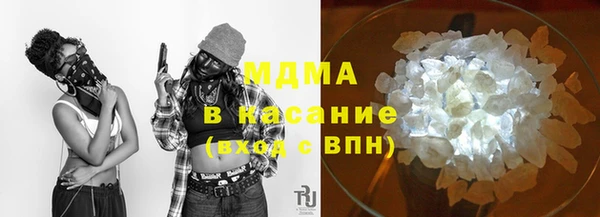 гидра Ельня