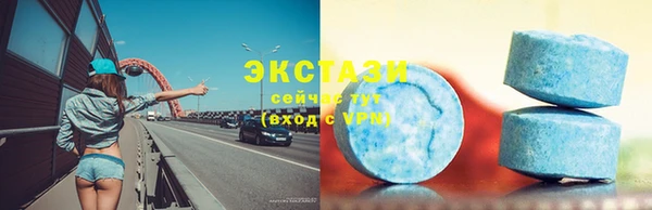 гидра Ельня