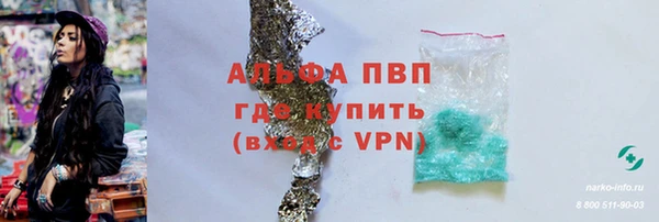 гидра Ельня