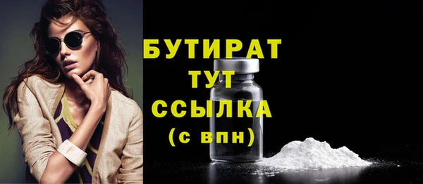 гидра Ельня