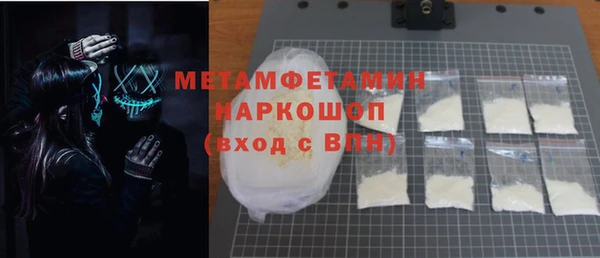 гидра Ельня