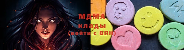 гидра Ельня