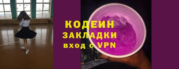 гидра Ельня