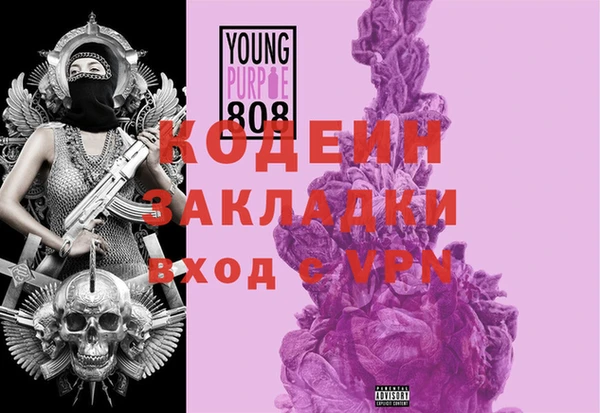 гидра Ельня