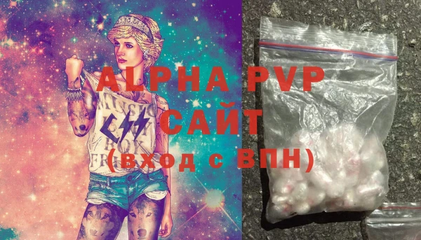 гидра Ельня