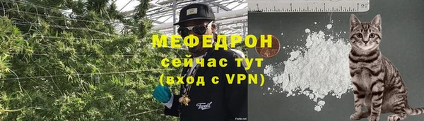 гидра Ельня