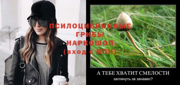 герыч Елабуга